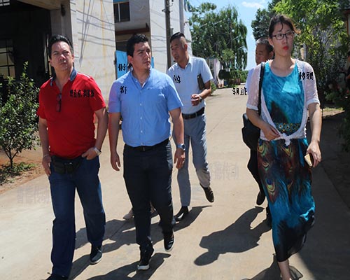 草莓污视频傳動來訪國客戶